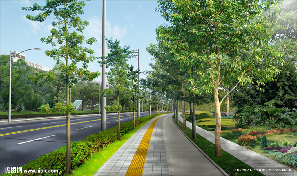 道路景观绿化设计 效果图