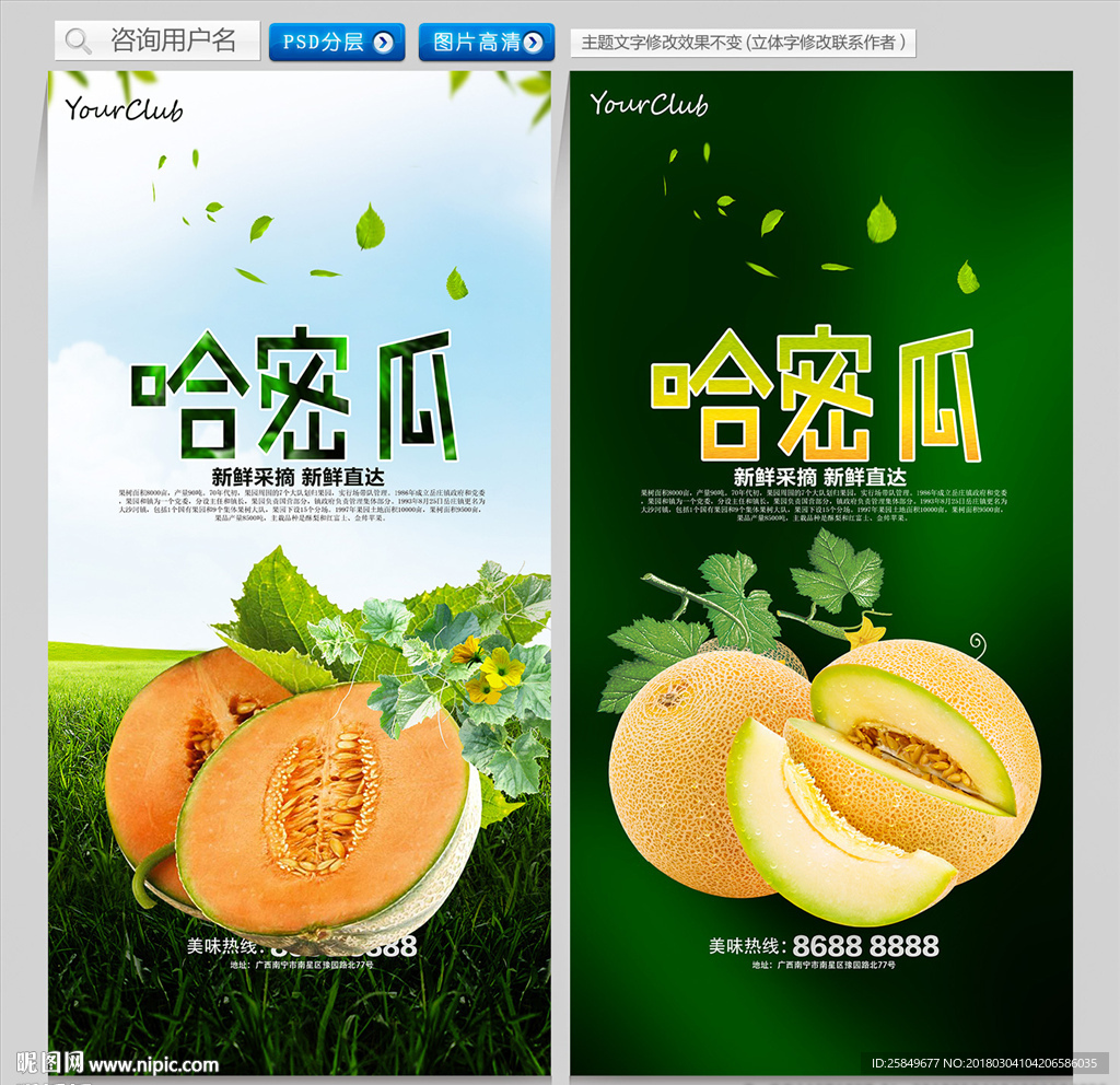 哈密瓜