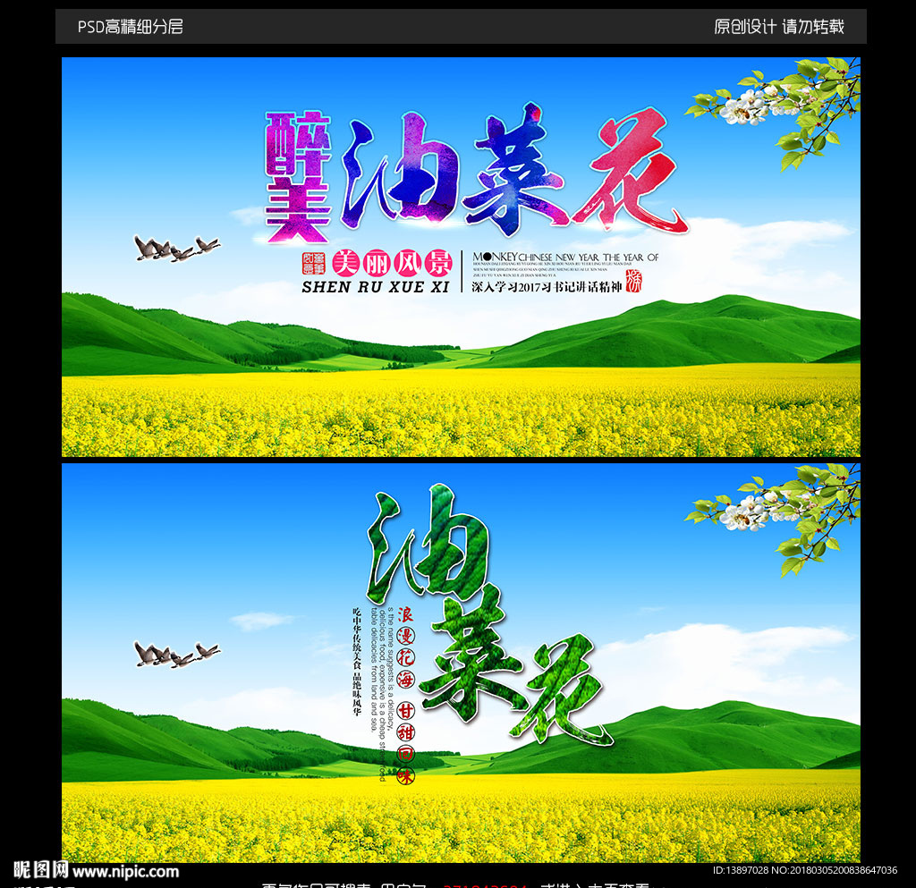 油菜花宣传海报
