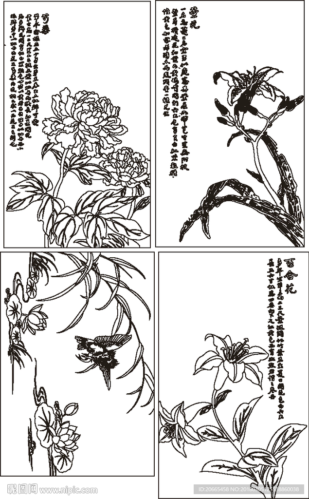 国画线条图
