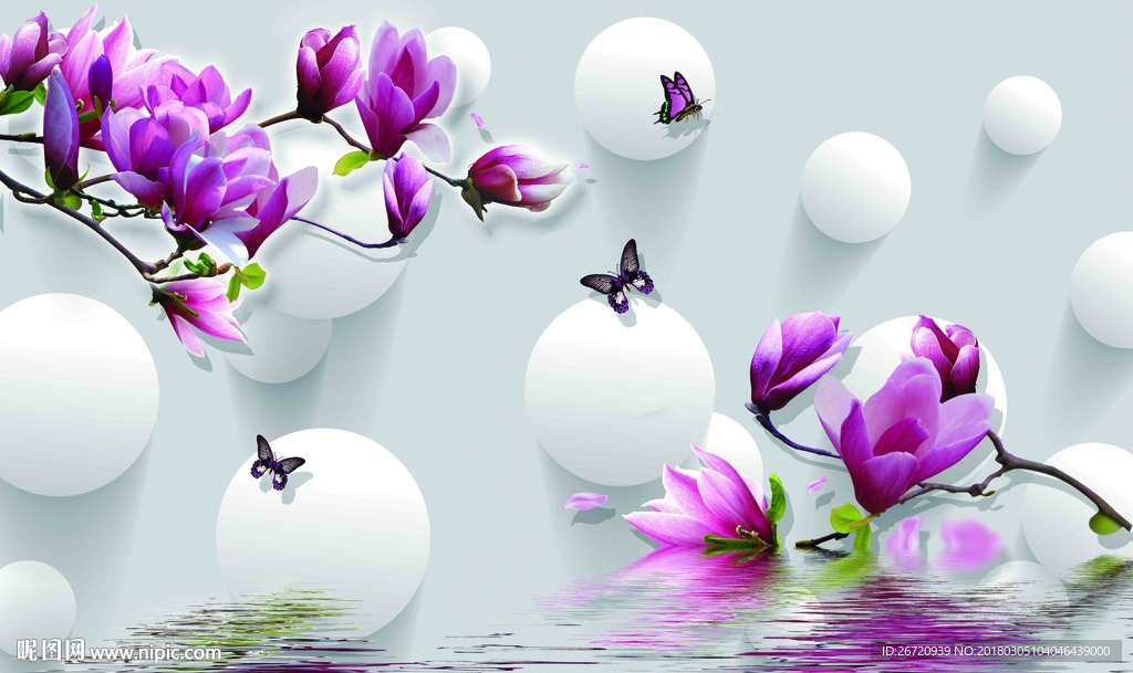 玉兰花