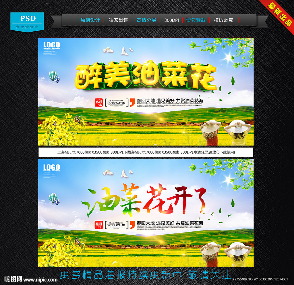 油菜花
