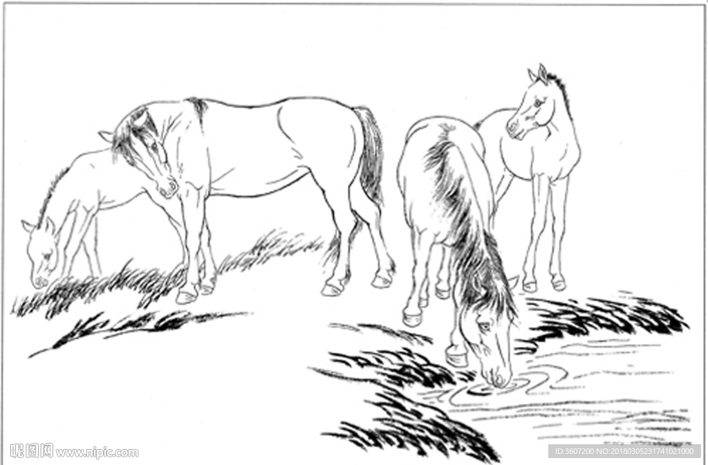 骏马 白描 素描 线描 国画