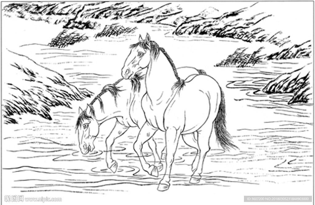 骏马 白描 素描 线描 国画