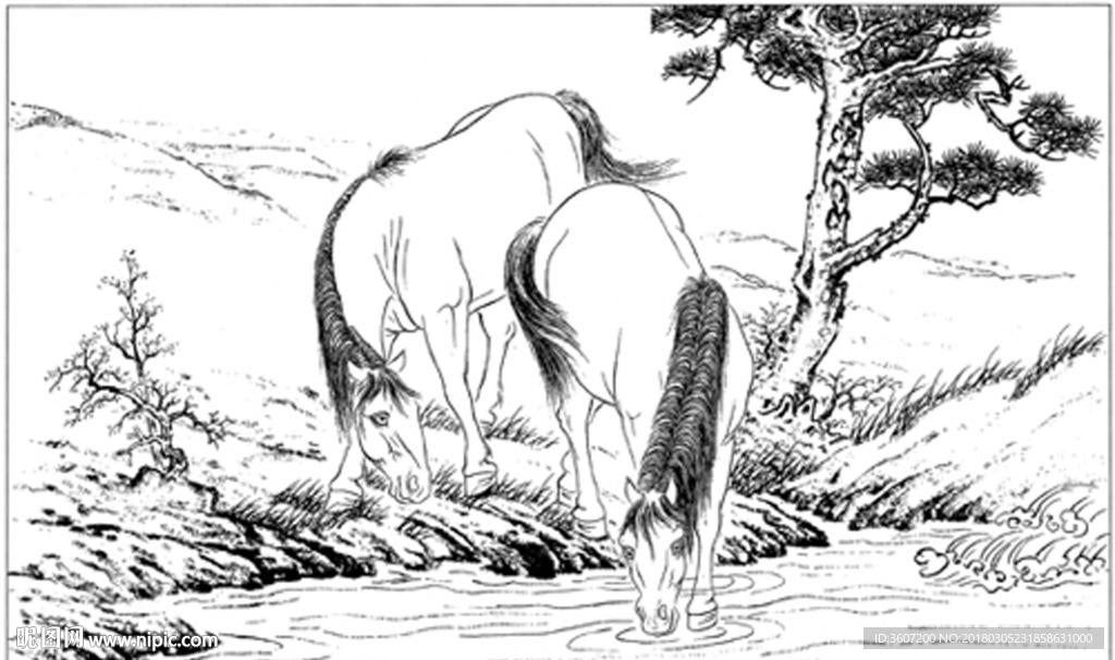 骏马 白描 素描 线描 国画