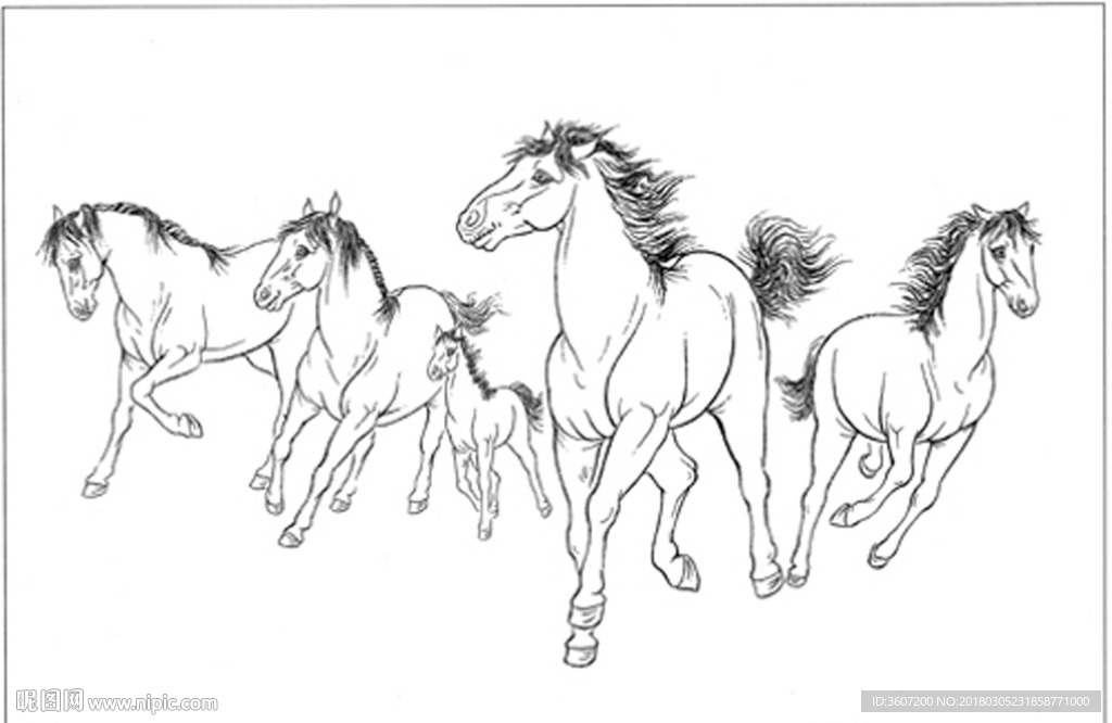 骏马 白描 素描 线描 国画