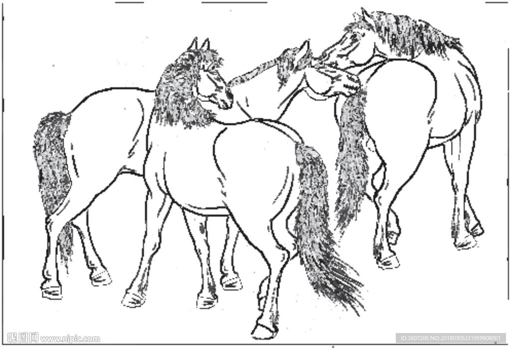 骏马 白描 素描 线描 国画