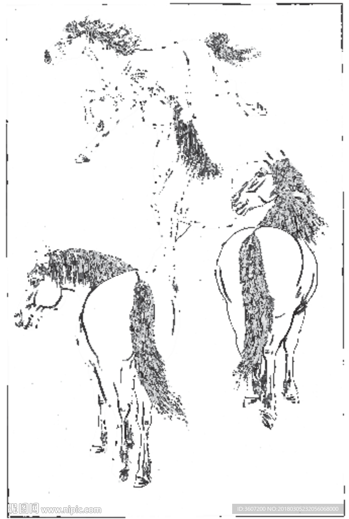 骏马 白描 素描 线描 国画