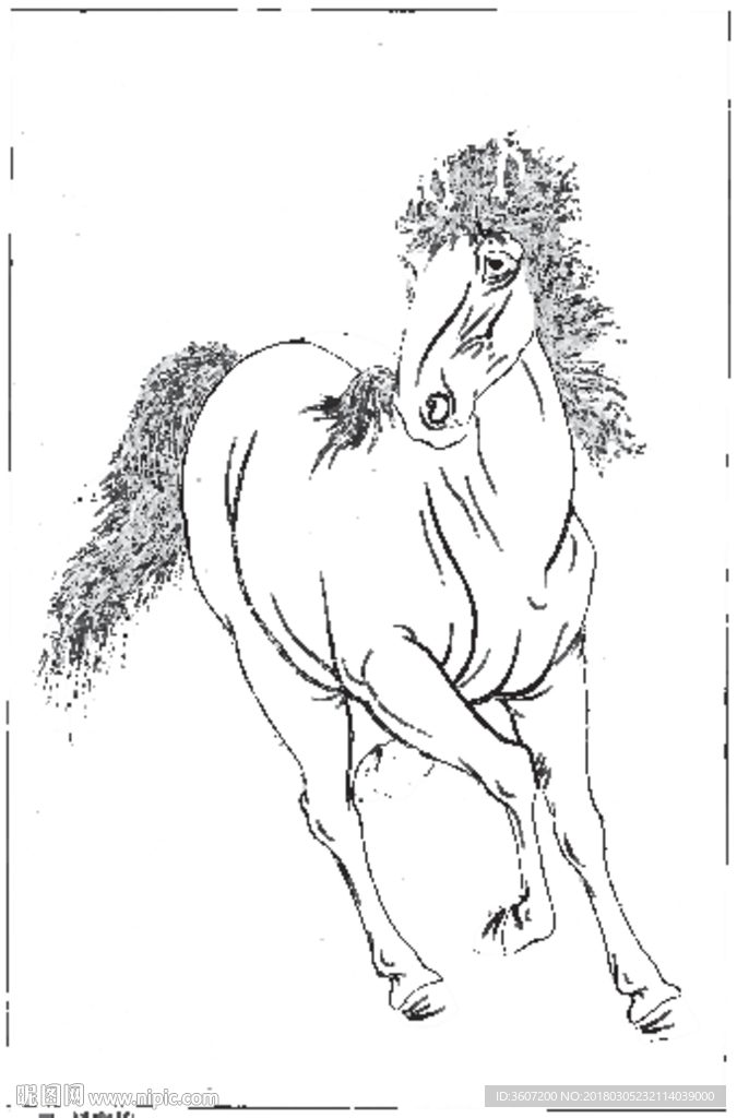 骏马 白描 素描 线描 国画