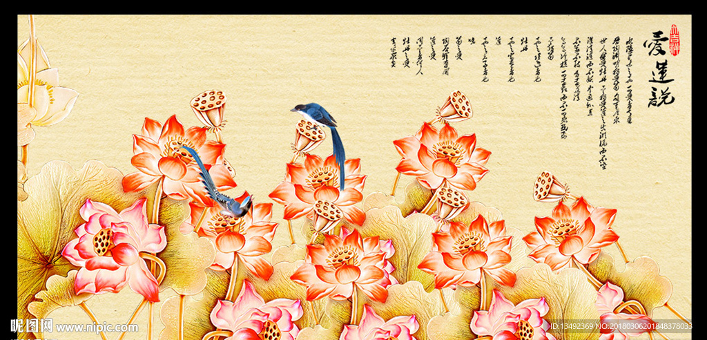 荷花