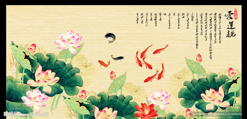 荷花