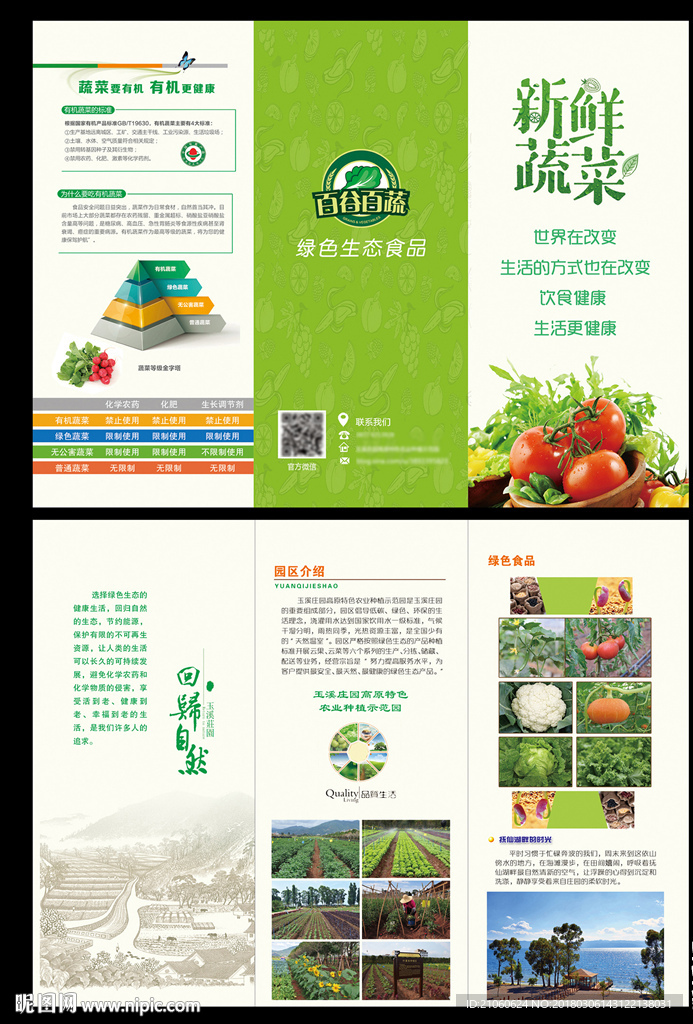 蔬菜三折页