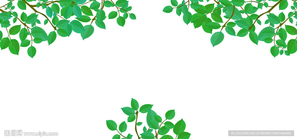 树叶树枝