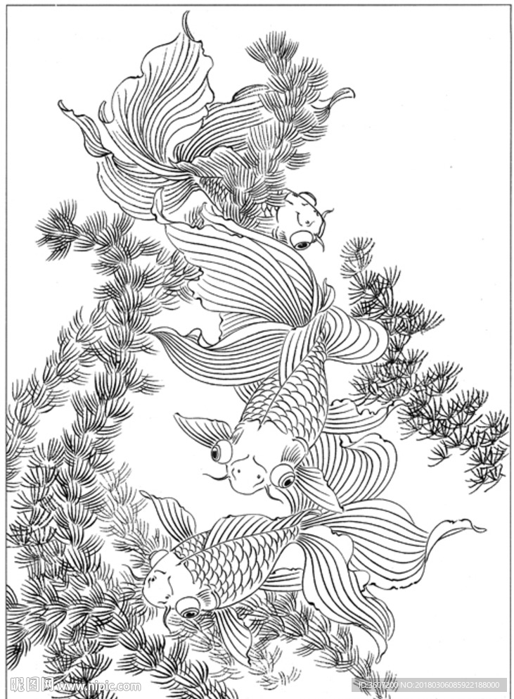 鱼 线描 素描 白描 国画