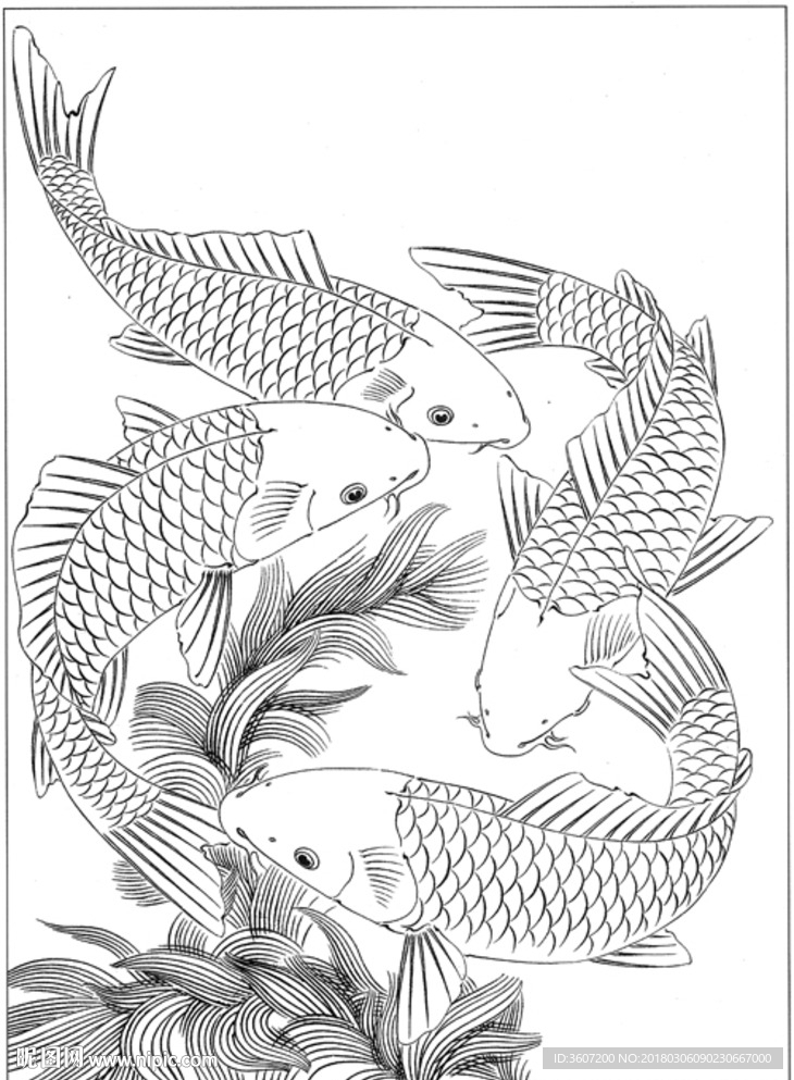 鱼 线描 素描 白描 国画