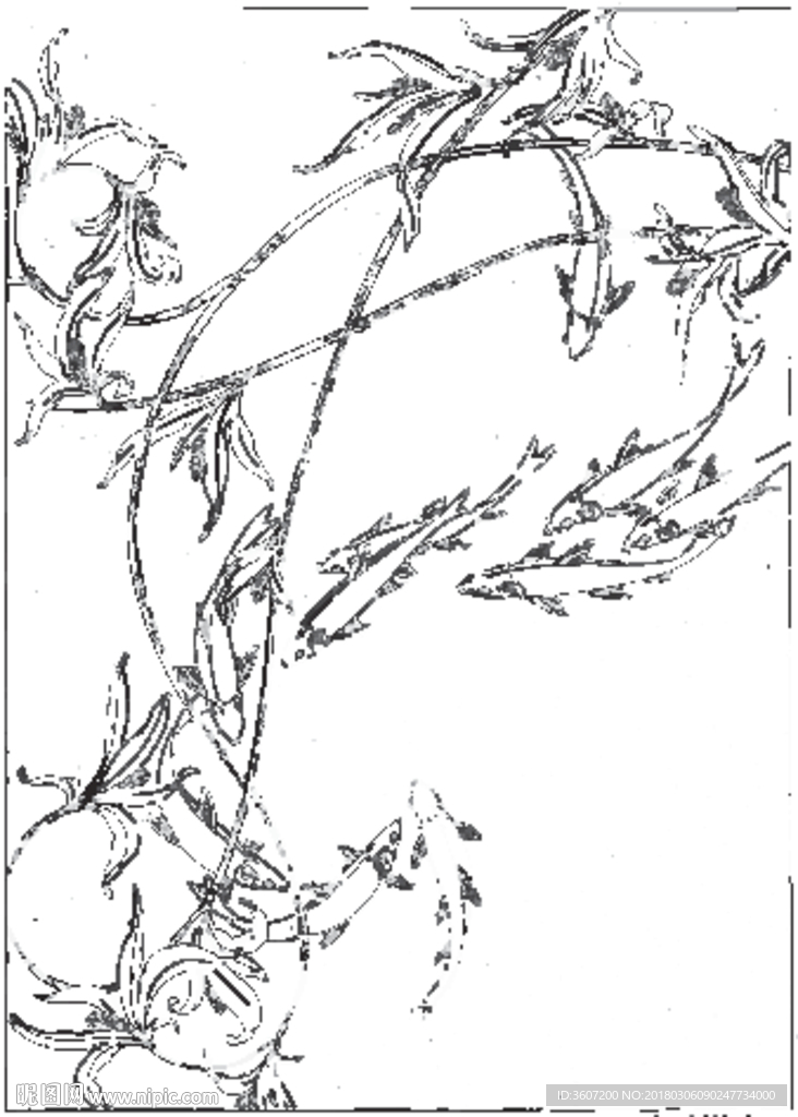 鱼 线描 素描 白描 国画