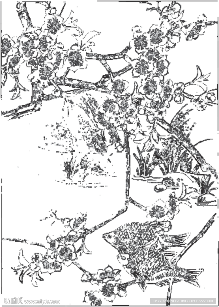 鱼 线描 素描 白描 国画