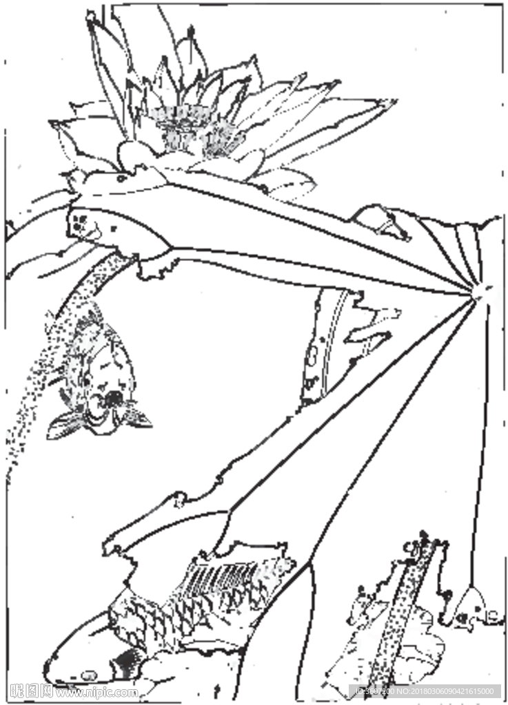 鱼 线描 素描 白描 国画