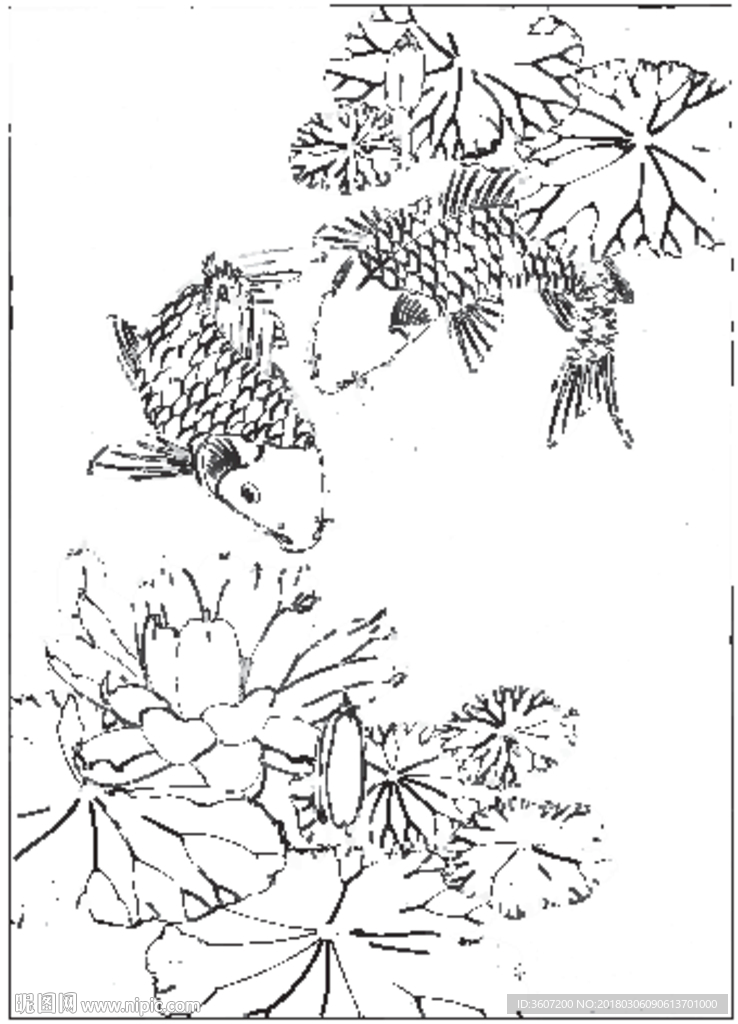 鱼 线描 素描 白描 国画