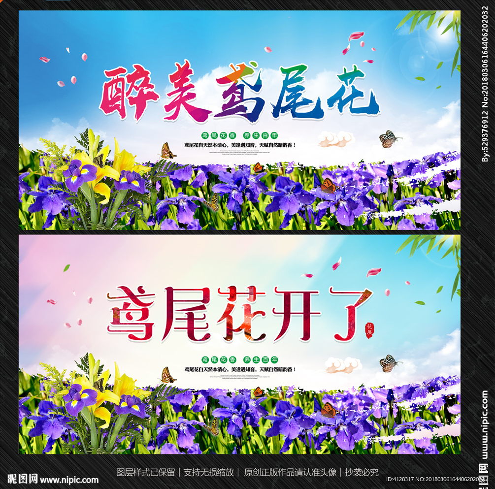 鸢尾花