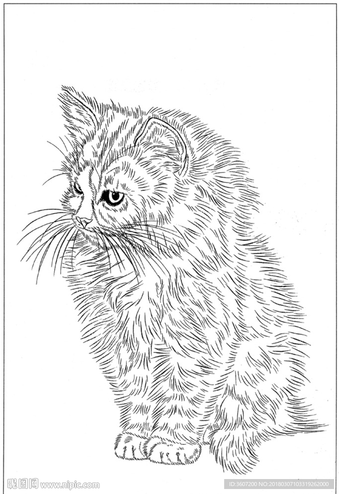 猫咪 素描 线描 白描 国画