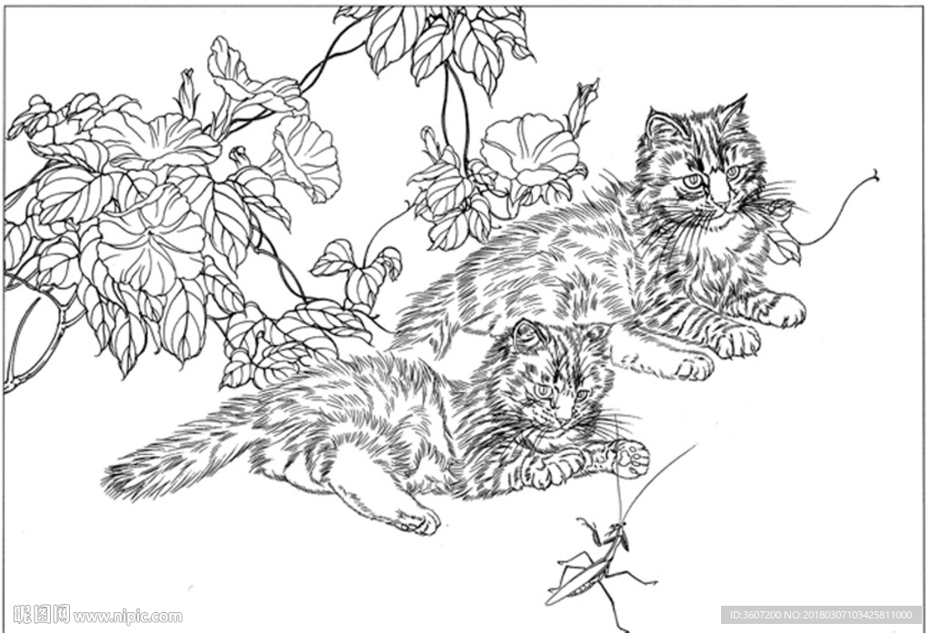 猫咪 素描 线描 白描 国画
