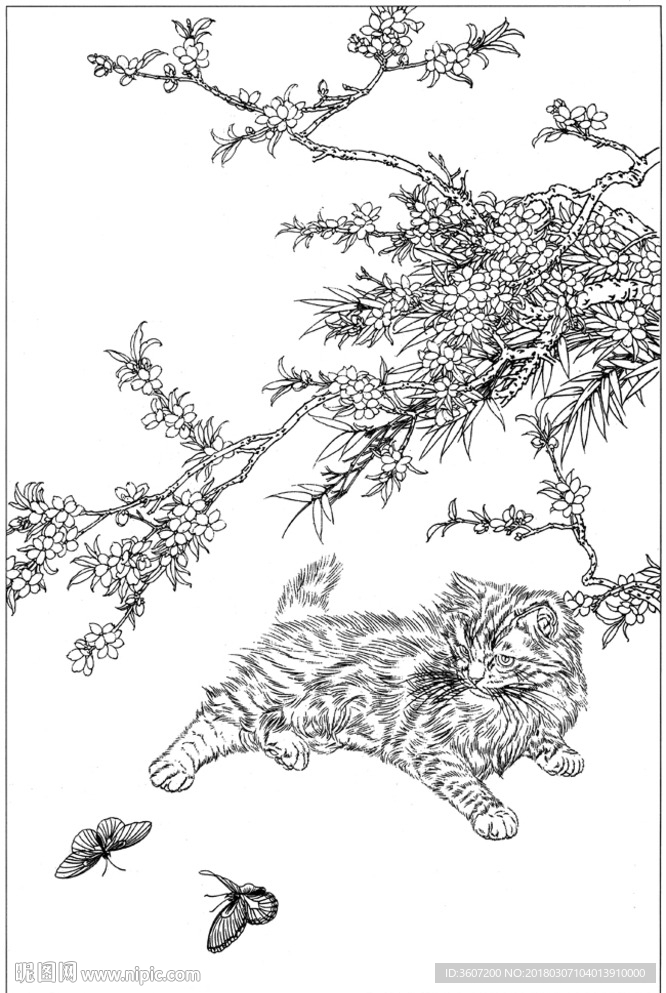 猫咪 素描 线描 白描 国画