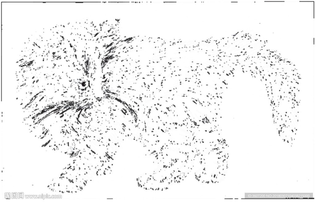 猫咪 素描 线描 白描 国画