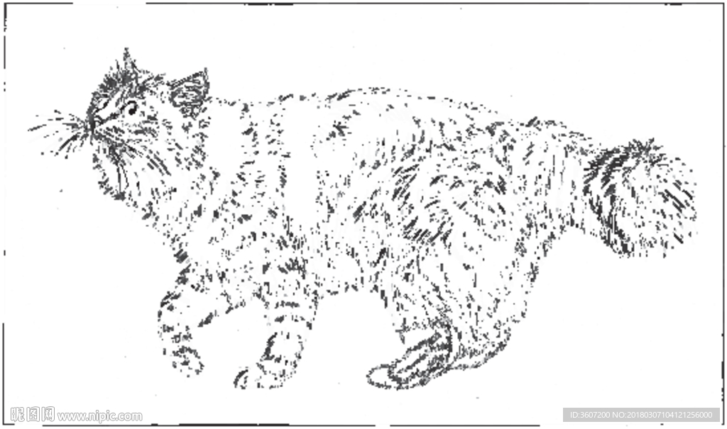 猫咪 素描 线描 白描 国画