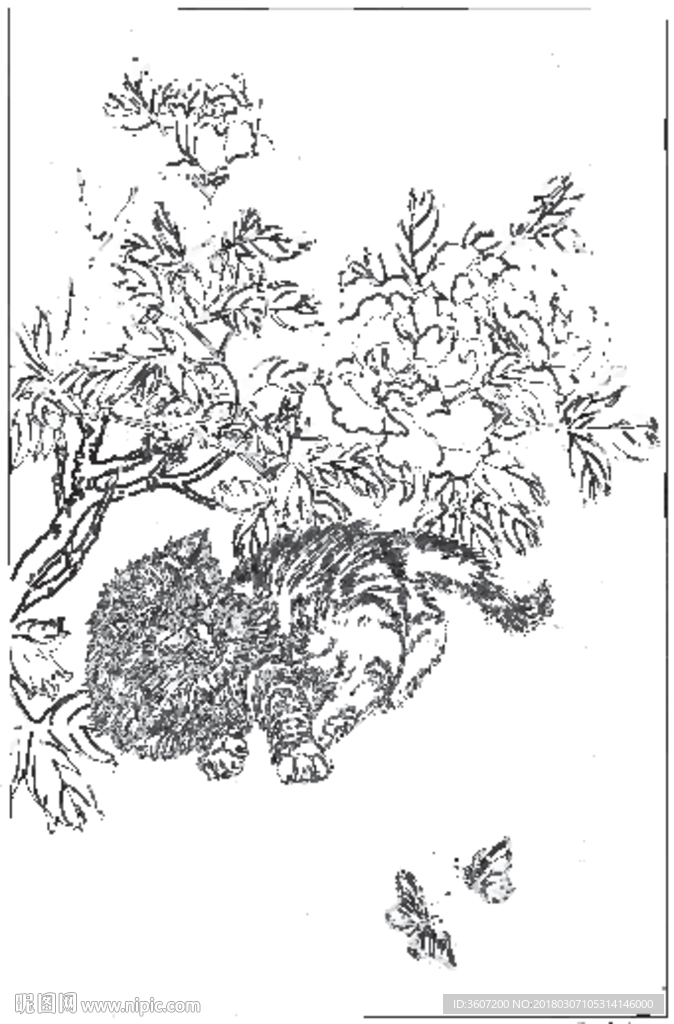 猫咪 素描 线描 白描 国画