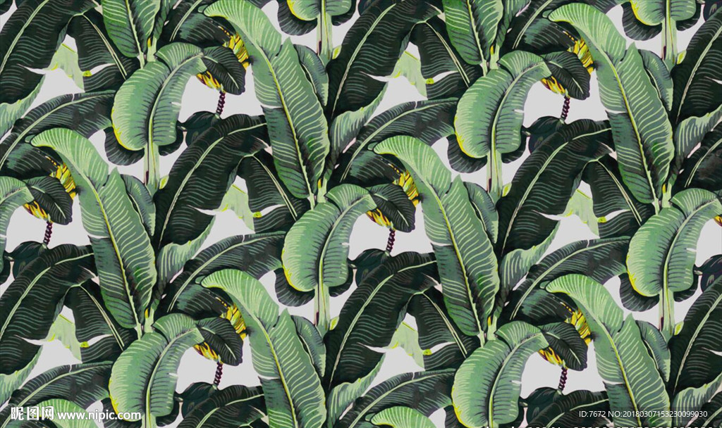 芭蕉叶无缝壁画背景墙