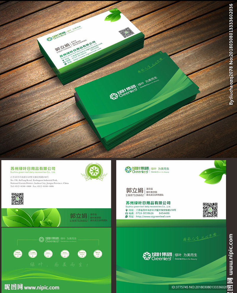 高端大气集团绿色绿叶科技名片
