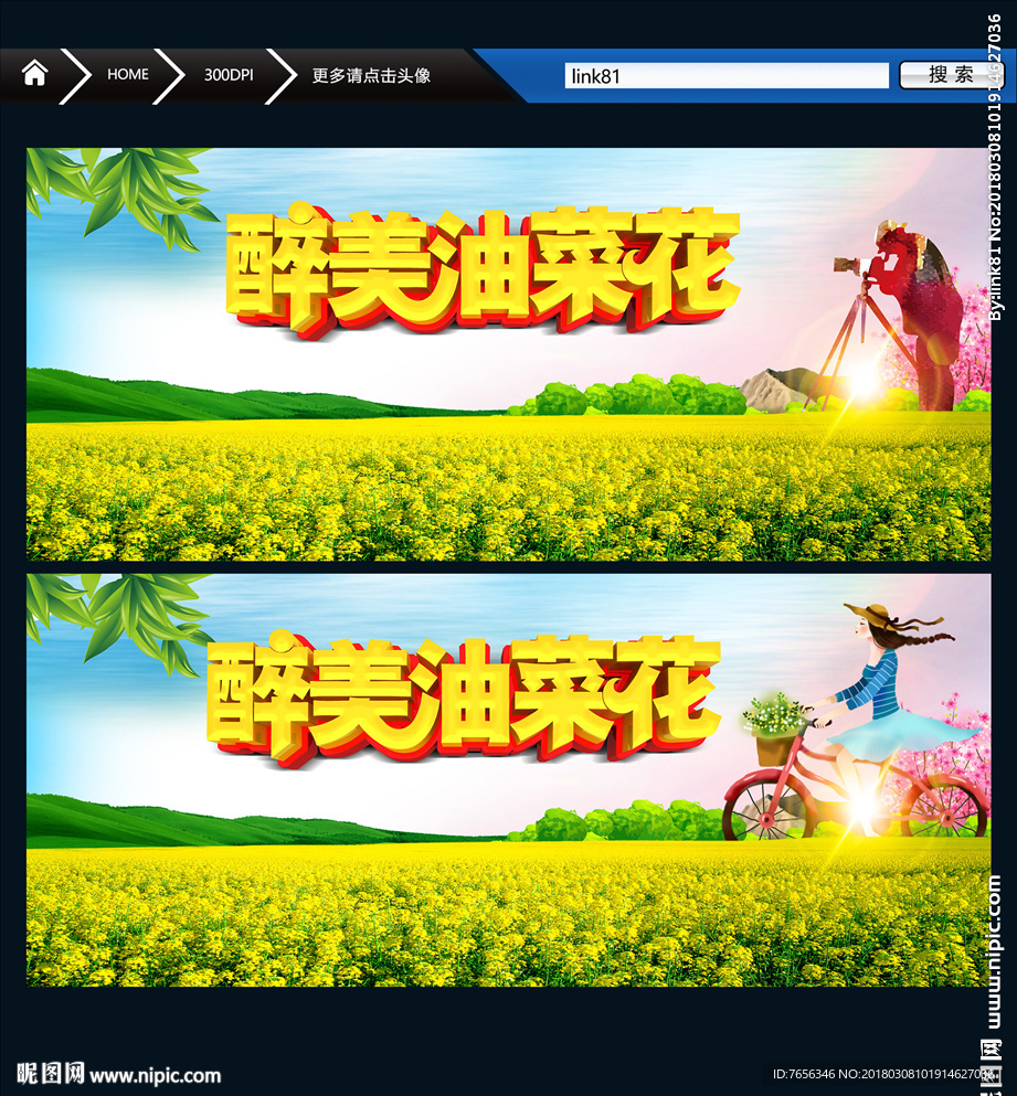 油菜花 唯美