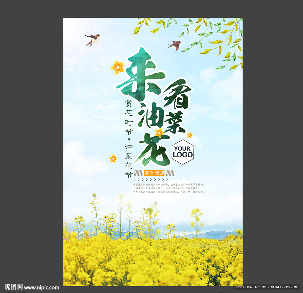 唯美清新油菜花节海报