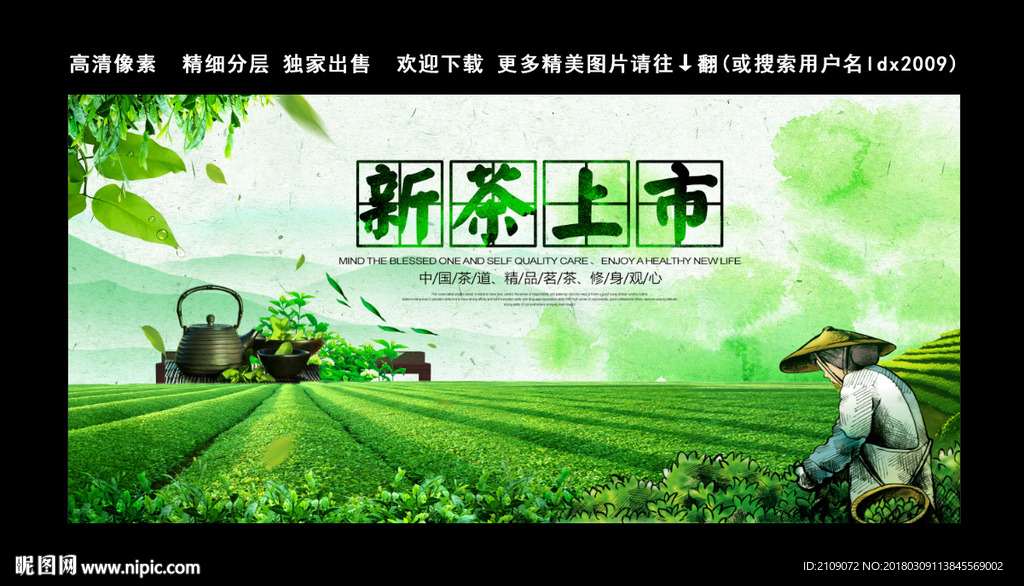 新茶上市