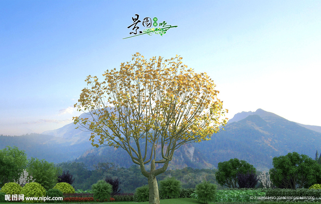 法国梧桐3D模型3