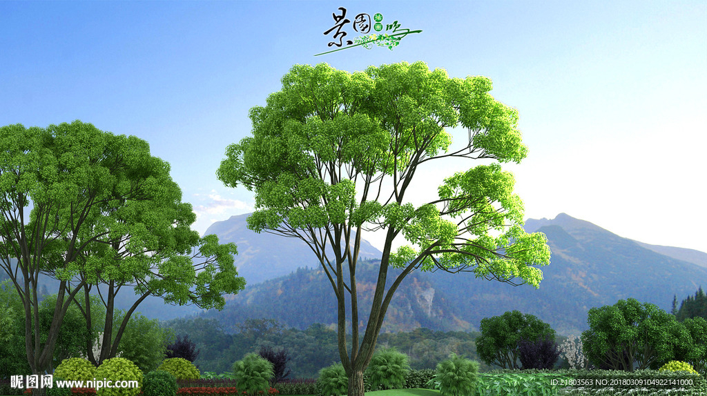 香樟模型树3D