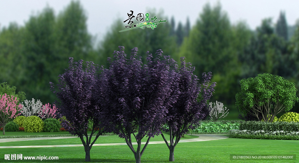 紫叶李3D模型