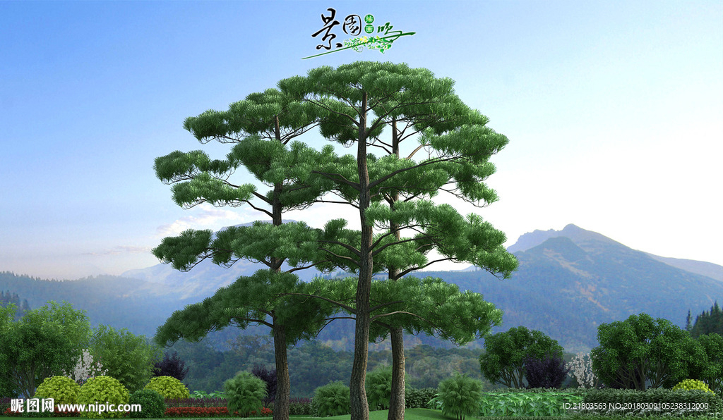 黑松3D模型