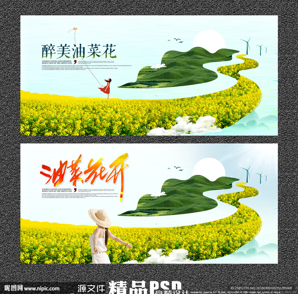 油菜花