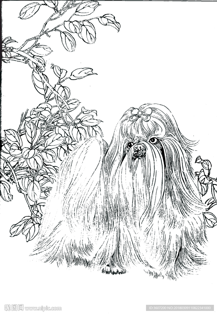 宠物名犬狗 白描 素描 线描
