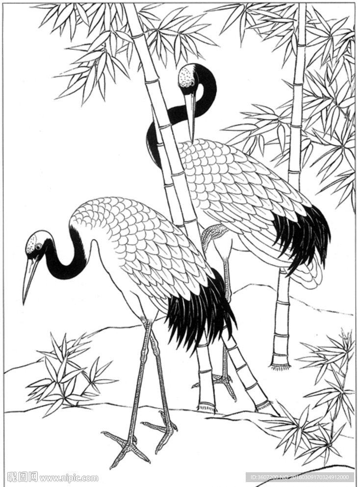 仙鹤 线描 素描 白描 国画