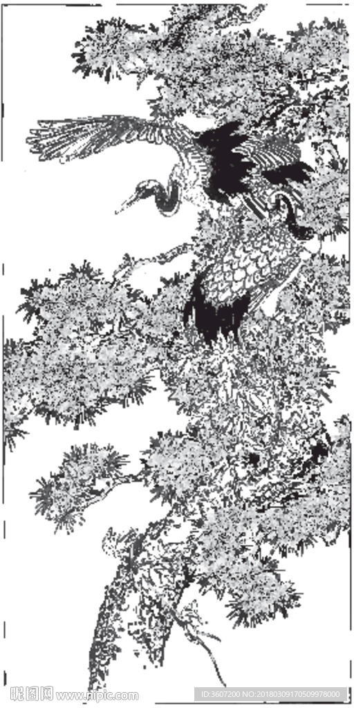 仙鹤 线描 素描 白描 国画