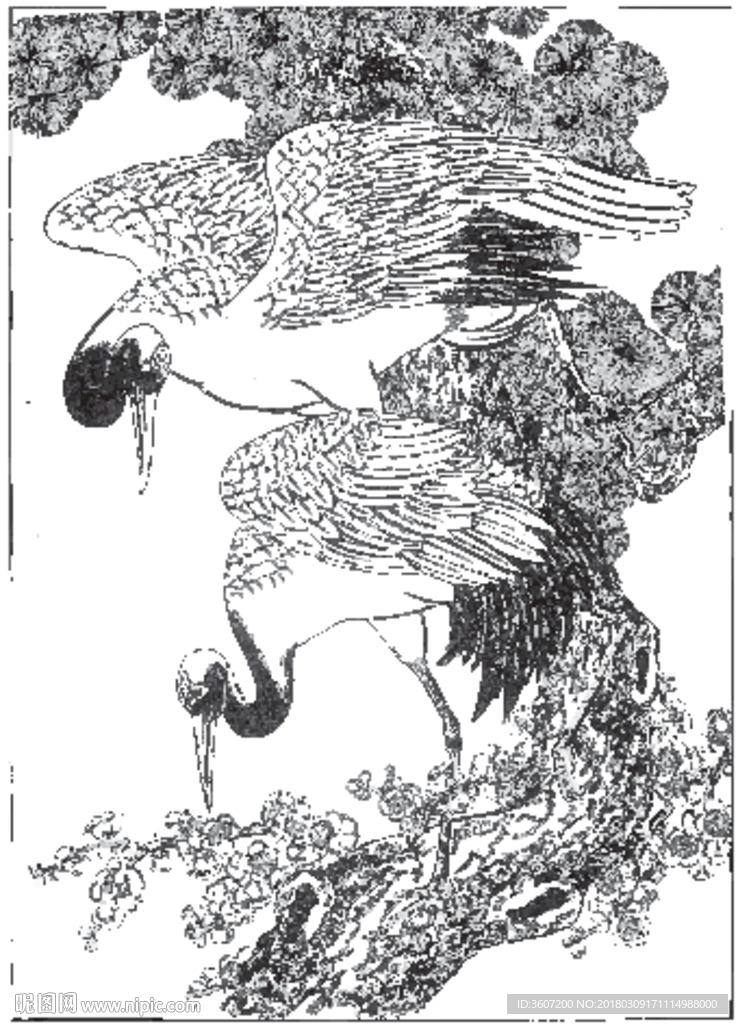 仙鹤 线描 素描 白描 国画