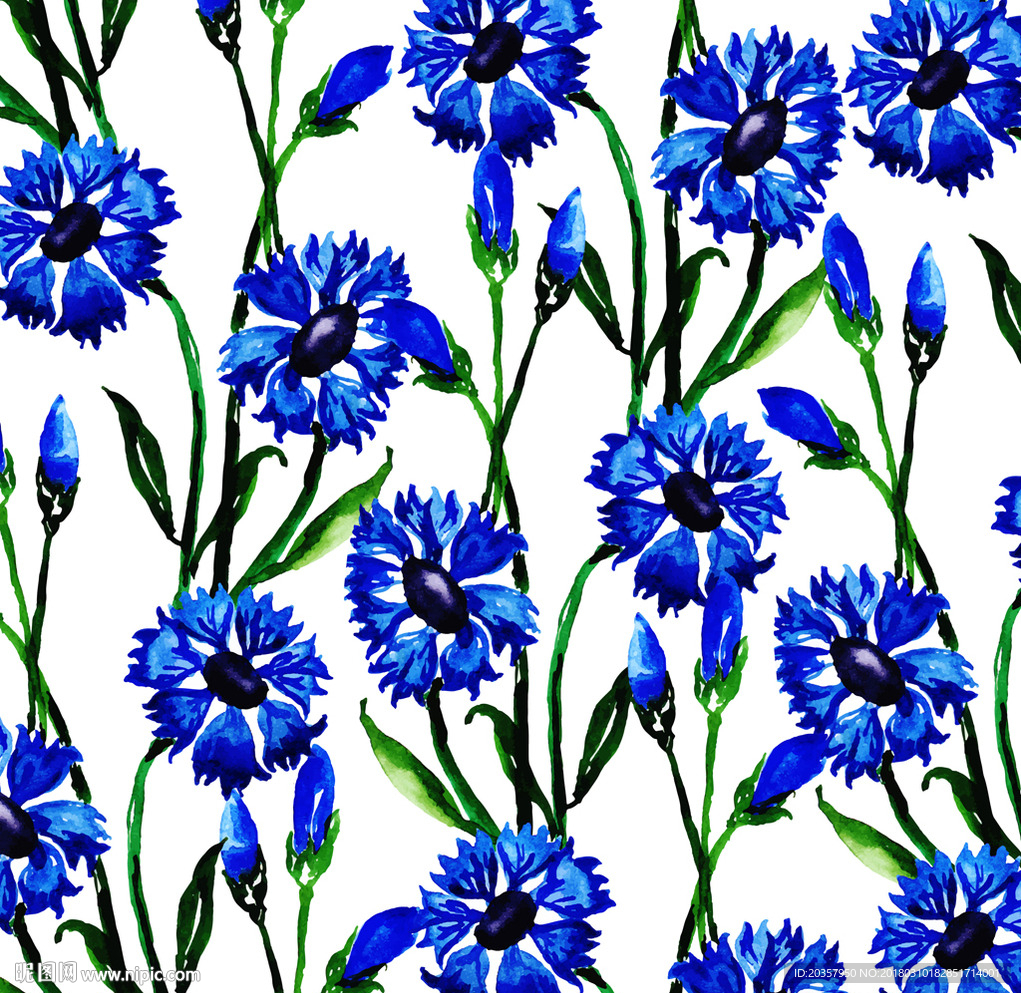 蓝色花 花草 花卉 小花 春天