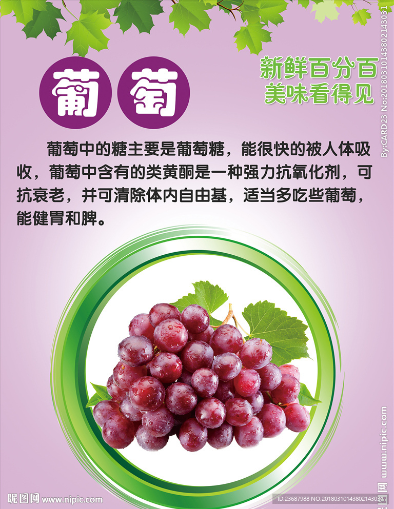 新鲜葡萄海报