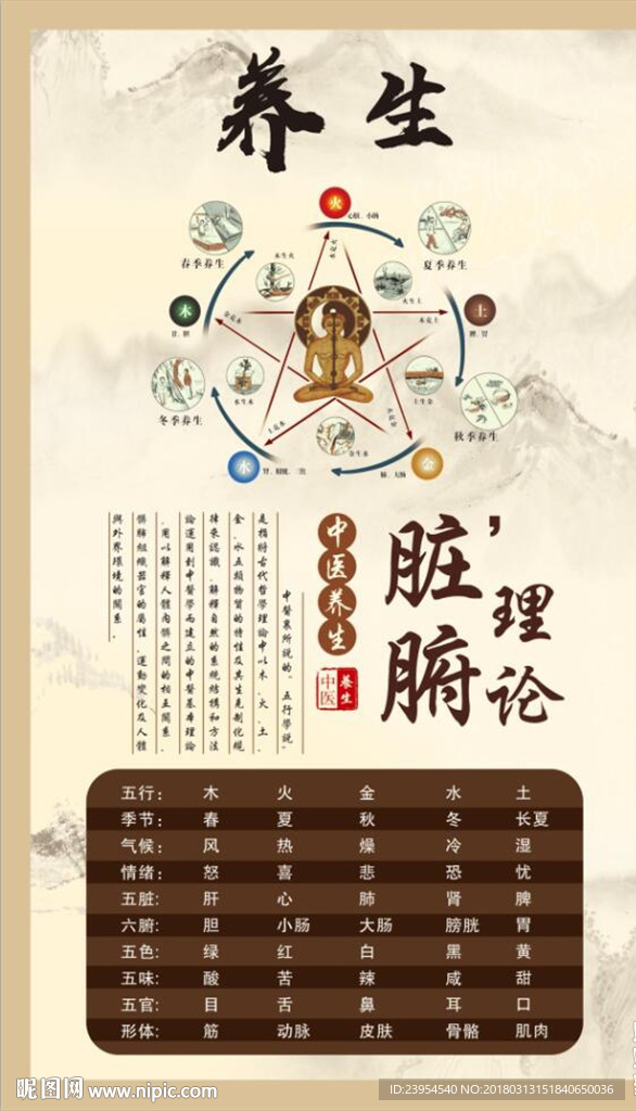 中医 养生 海报 食疗养