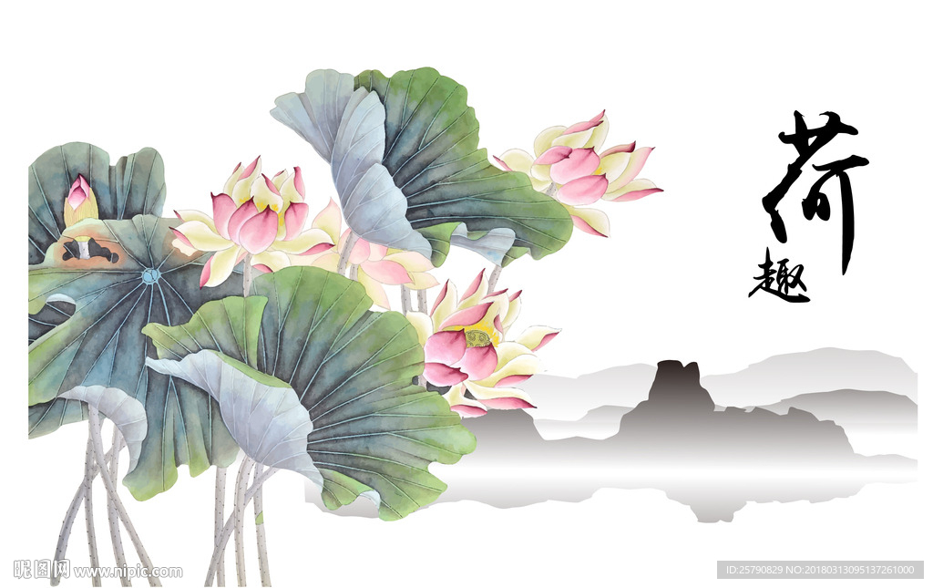 荷花