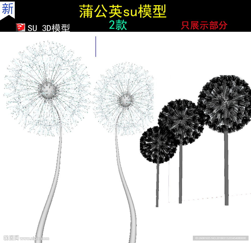 蒲公英模型