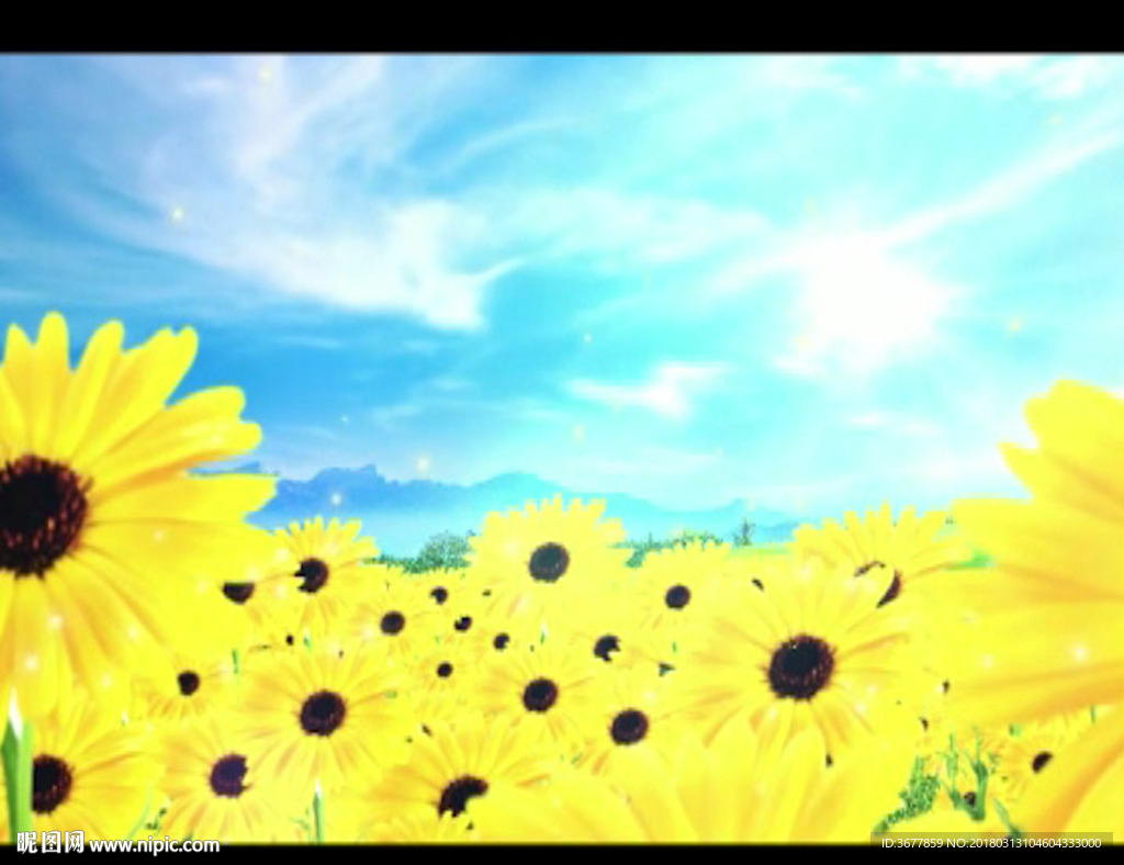向日葵背景大屏